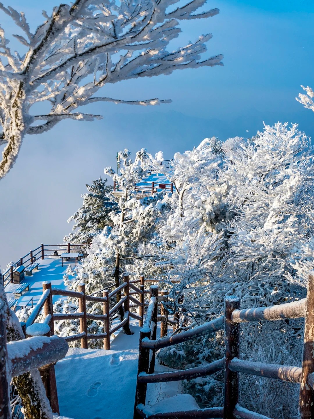 一到冬天❄老君山就美成云顶天宫！_5_携程旅行_老君山-来自52tours 我爱旅游网